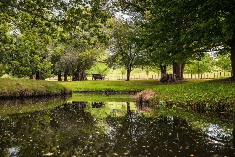 1559 Kahikatea Flat Road Kaukapakapa_27