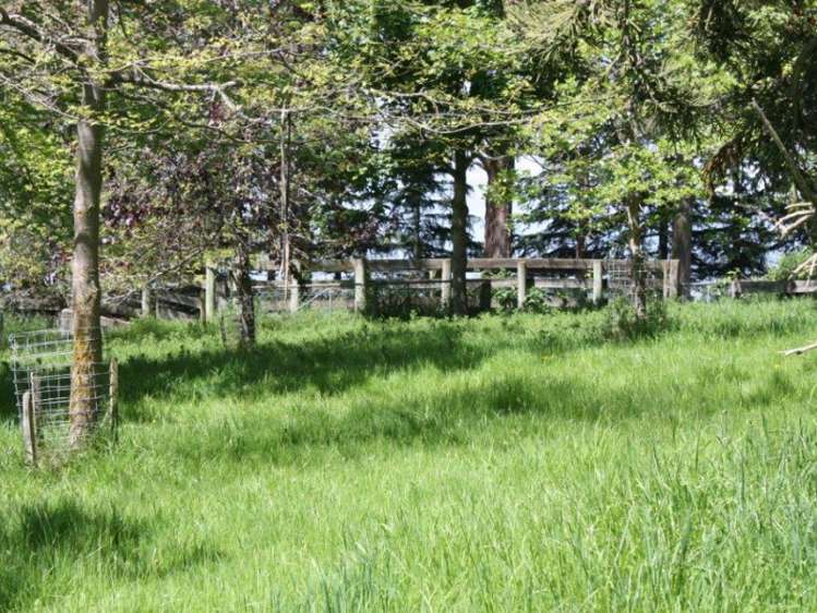 142 Gualter Road Geraldine_9