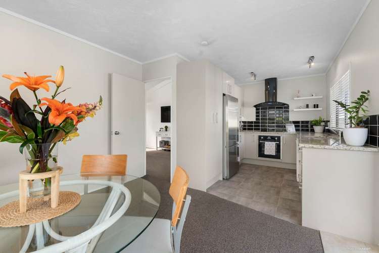 26 Nukumea Common Orewa_10