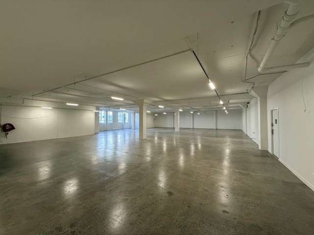 34 Dacre Street Eden Terrace_2