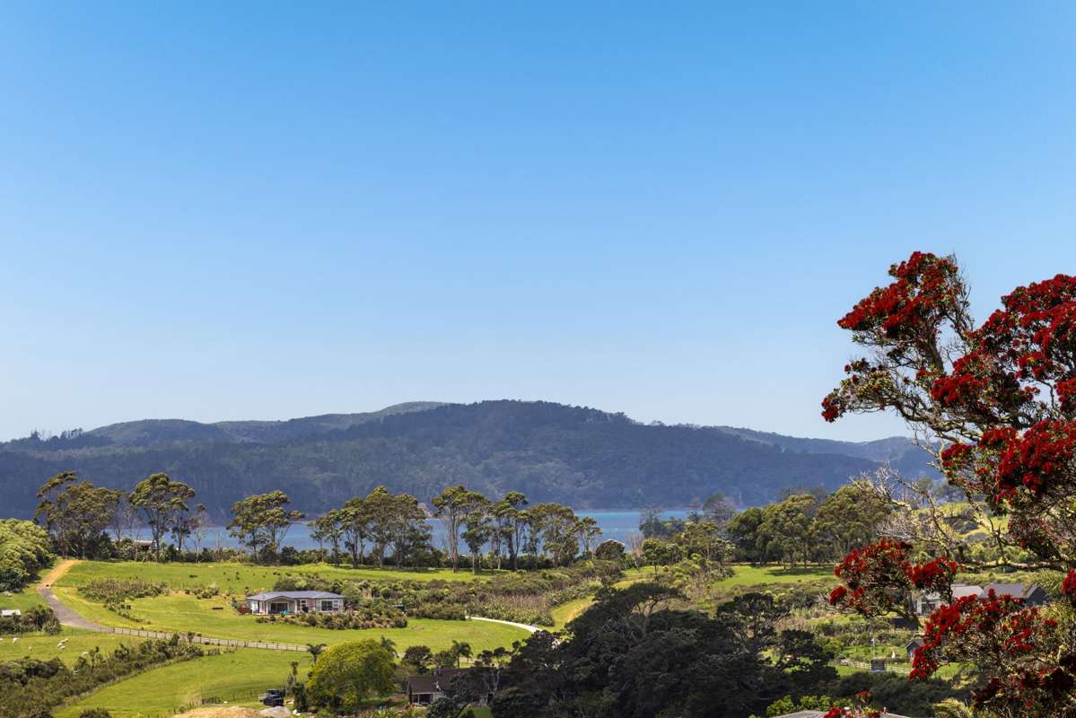 599 Mahurangi East Road_5