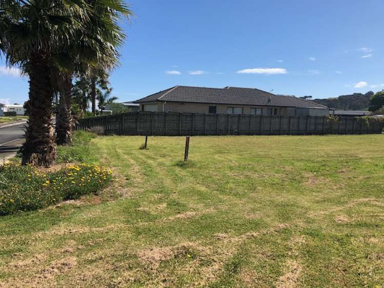 10 Flame Tree Lane Taipa_5