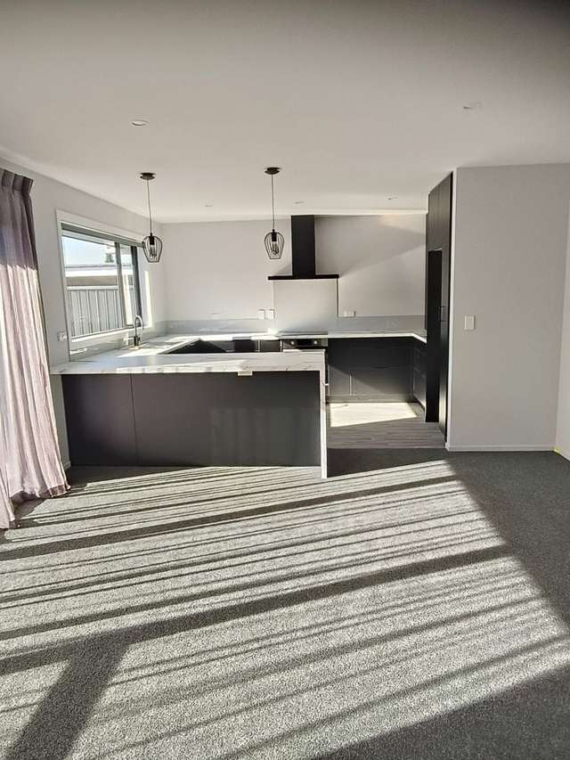 250 King Street Temuka_2