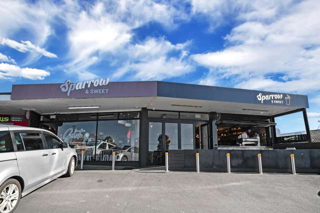 167 Kitchener Road Pukekohe_2