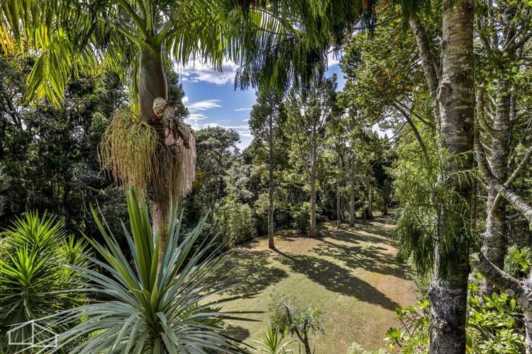 215 Konini Road Titirangi_30