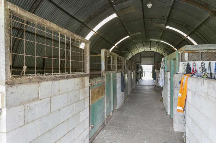 40 Racecourse Road Te Aroha_21