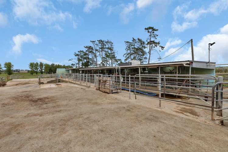 1067 Hoanga Road Dargaville_19