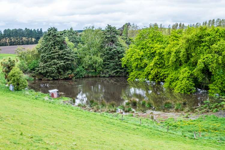 38 Doake Road Pleasant Point_11