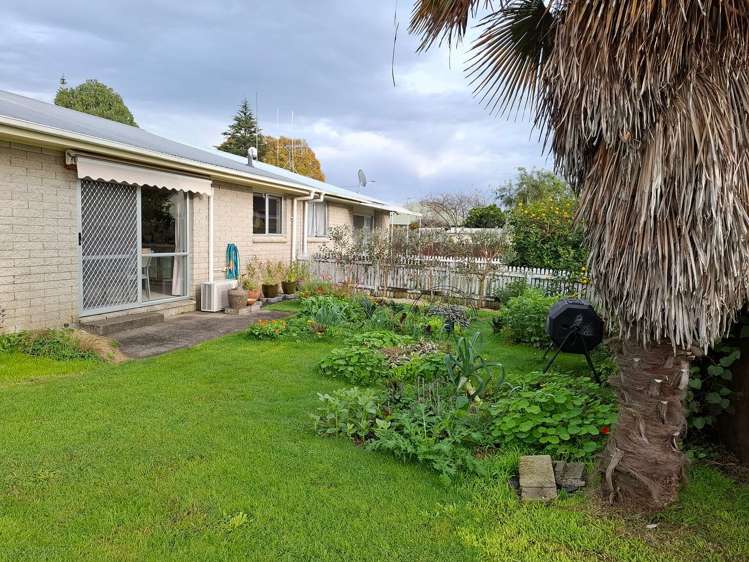 2/659 Mahoe Street Te Awamutu_1