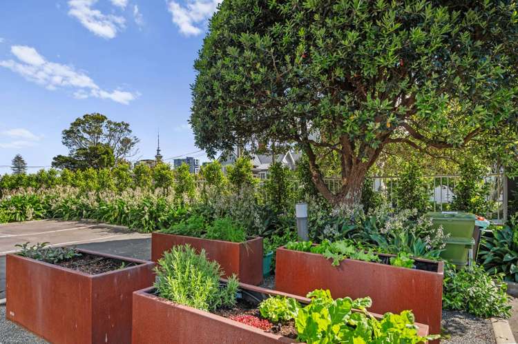 201/135 Grafton Road Grafton_16