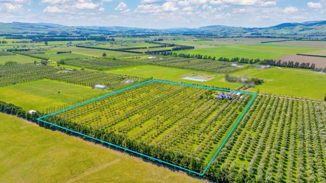 325 Georges Road Amberley_1