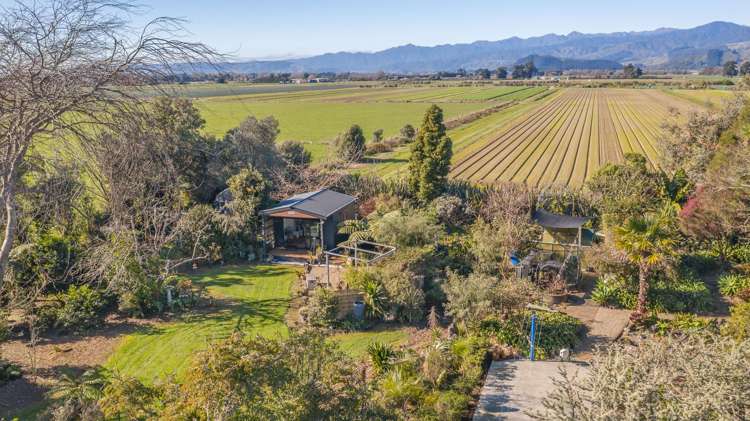 86 Soldiers Road Kuku_25