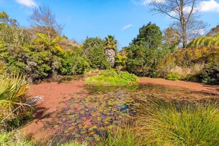 202 Muriwai Valley Road Muriwai_28