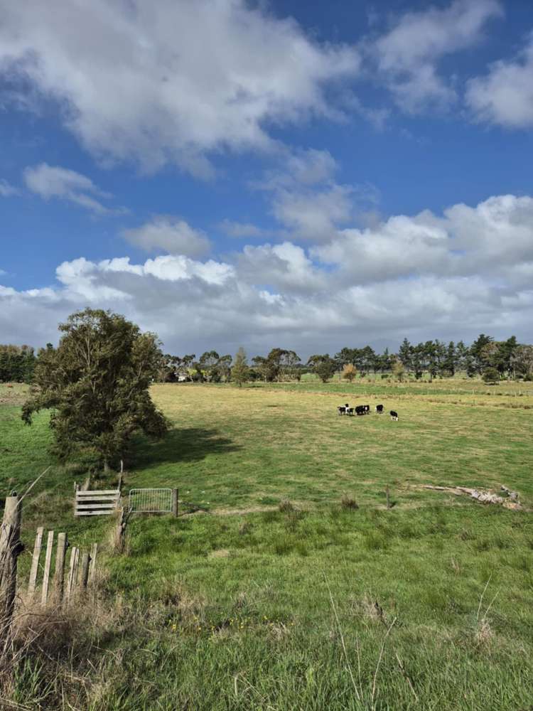 50B Painua Road Hokio Beach_8