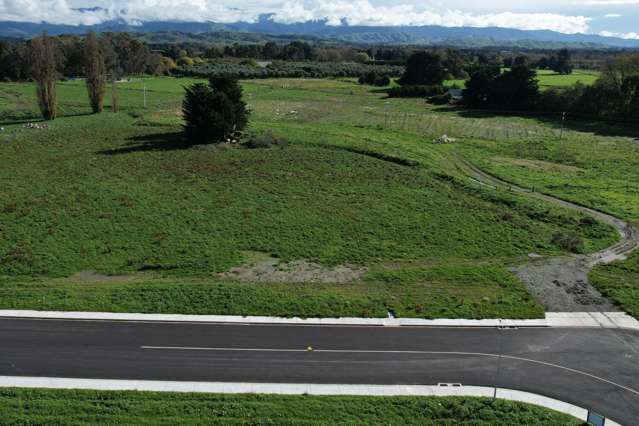 16 Thistle Avenue Masterton_2