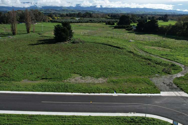 16 Thistle Avenue Masterton_2