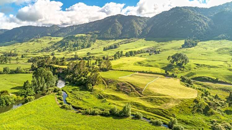 1559A Old Te Aroha Road Te Aroha_1