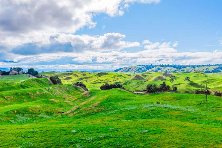 473 Otake Road Marotiri_10