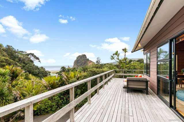 Sea views at South Piha.