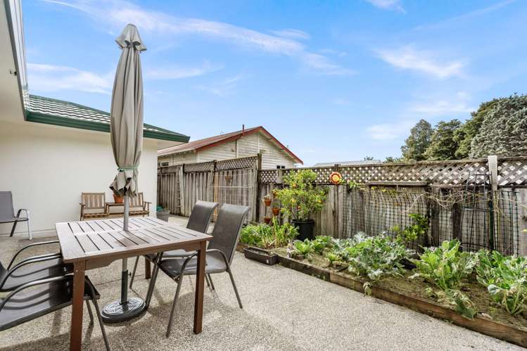 173b Maunu Road Horahora_11