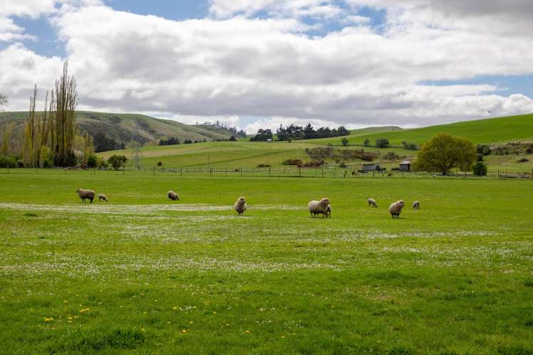 Lot 11, 0 Oven Hill Road Roxburgh_4