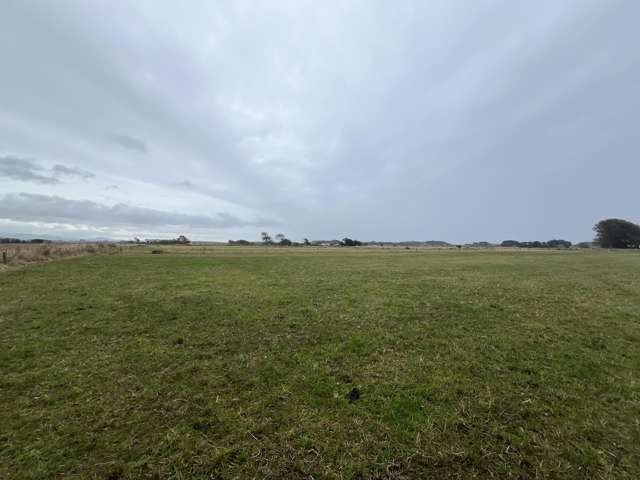 29 Newth Road Foxton_1