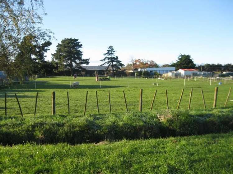 10 Spring Street Foxton_6