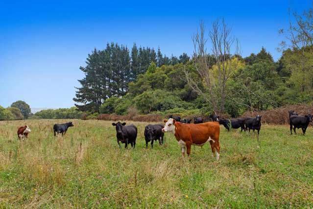 83a Paul Road Te Teko_1