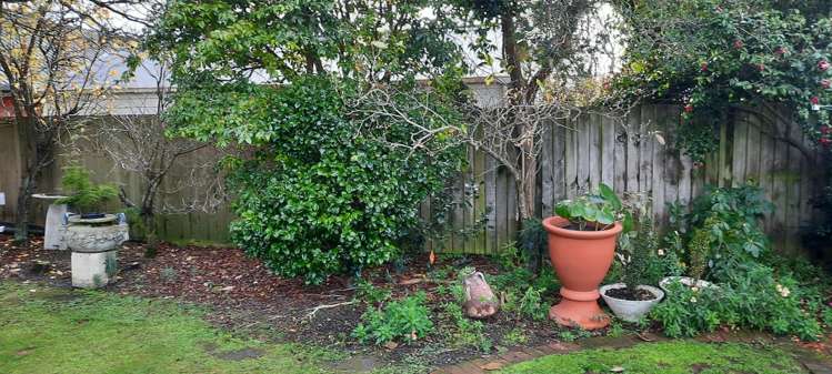 123 Stanbury Avenue Somerfield_13