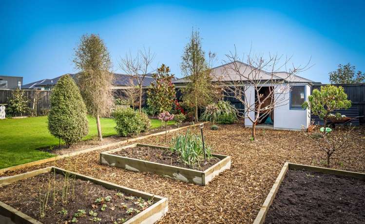 55 Lemonwood Drive Rolleston_23