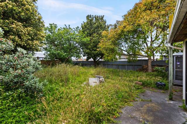 6 Geddis Avenue Maraenui_3