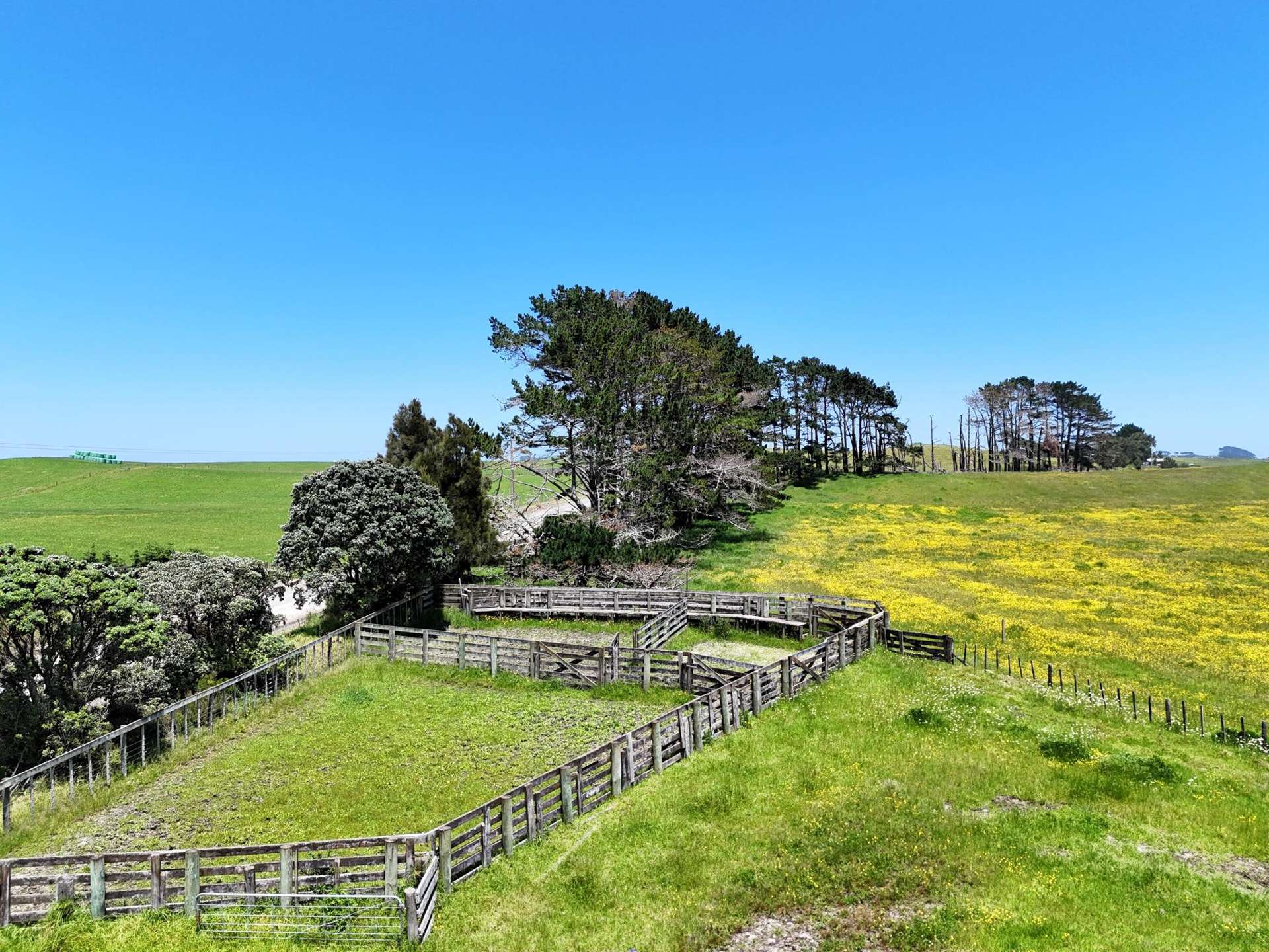 Lot Lot 2 Scottys Camp Road Dargaville_0