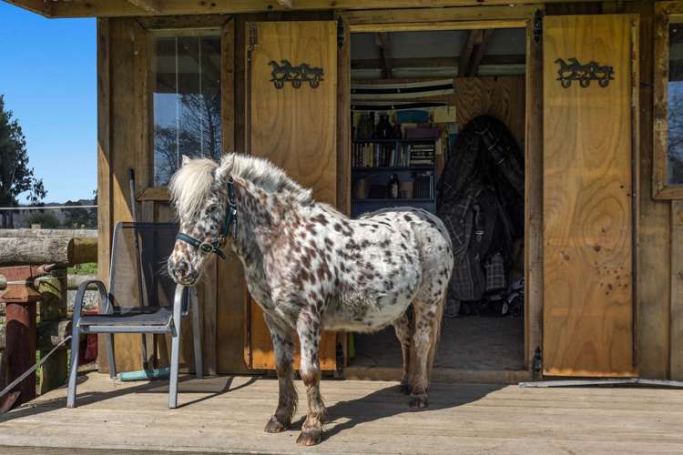 314 Te Rahu Road Whakatane_46