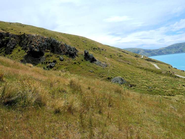 430 Camp Bay Road Port Levy_3