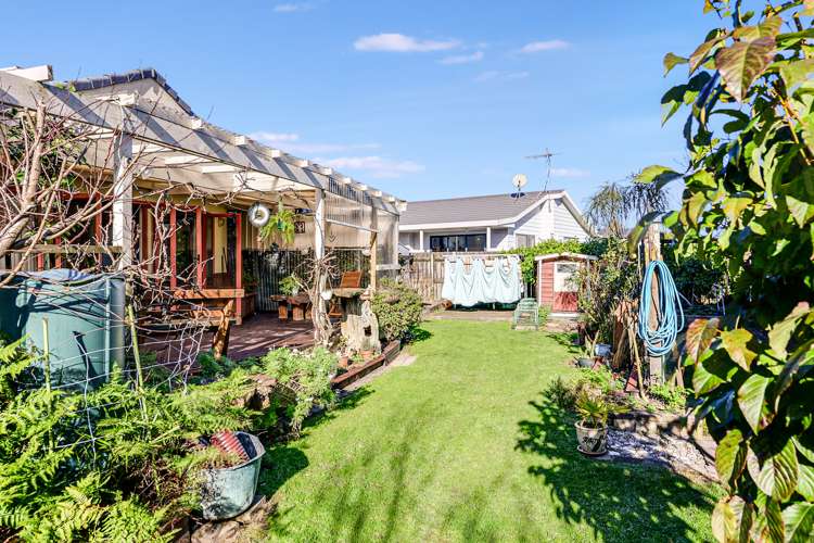 18 Moreland Avenue Pukete_20