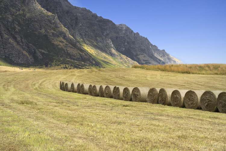 2 Mckenzies Shute Jacks Point_11