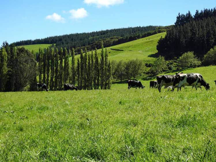 1101+1028 Otautau Tuatapere Road Merrivale_20