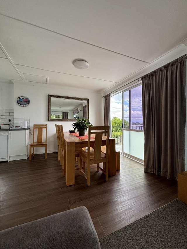 38 Ngauruhoe Street 11201_3