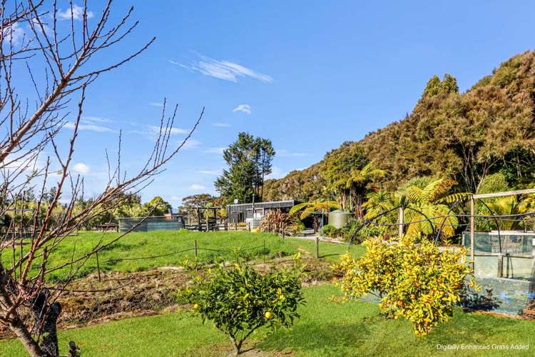 236 Alma Road Westport_14