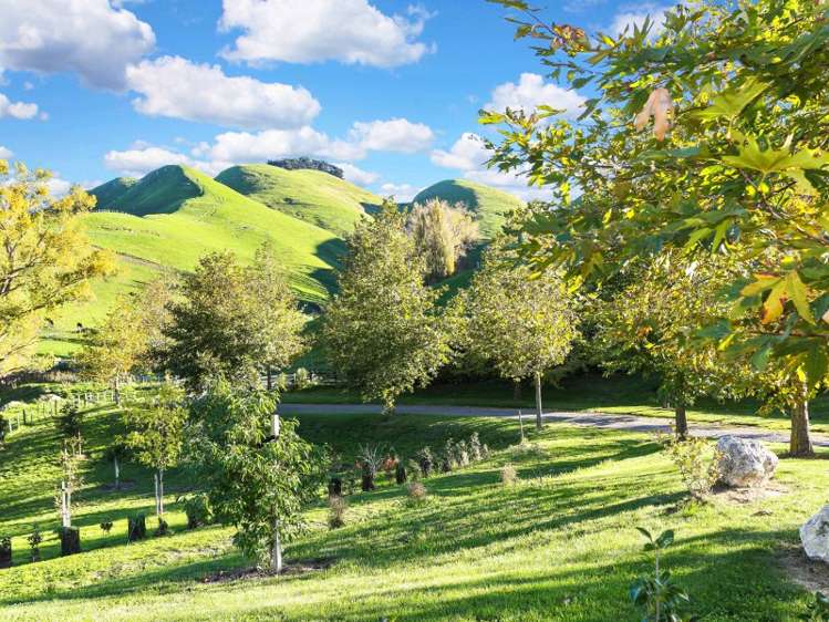 181 Lane Road Havelock North_25