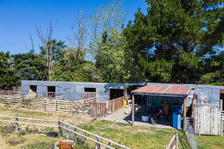 704 South Eyre Road Swannanoa_5