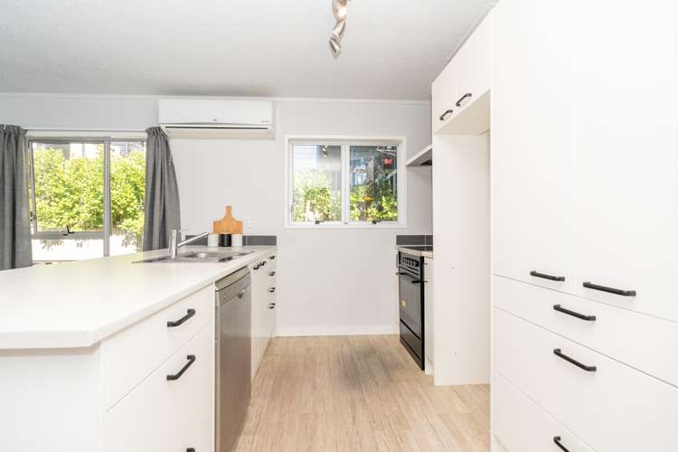 48b Cook Street Hamilton East_1