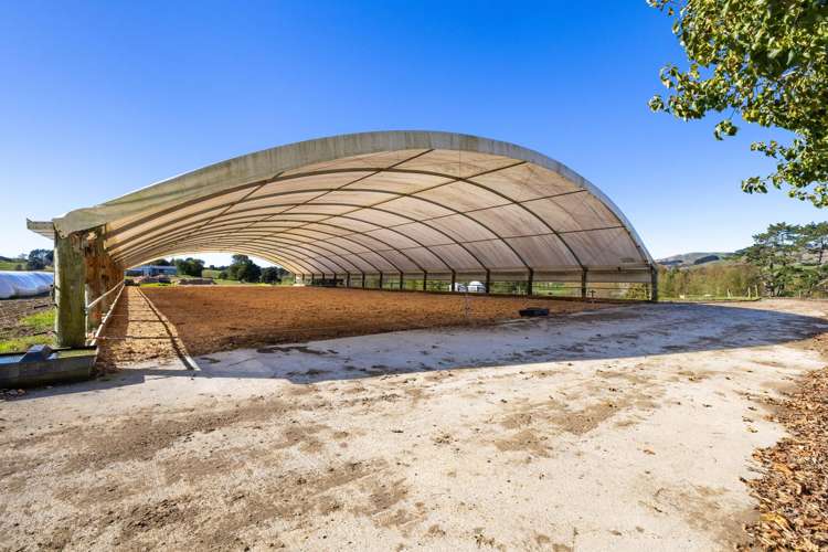 141 Te Mata Road Raglan_45