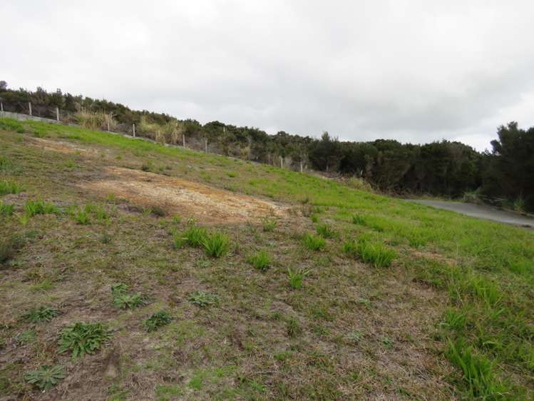 61 Banyan Road Karikari Peninsula_5