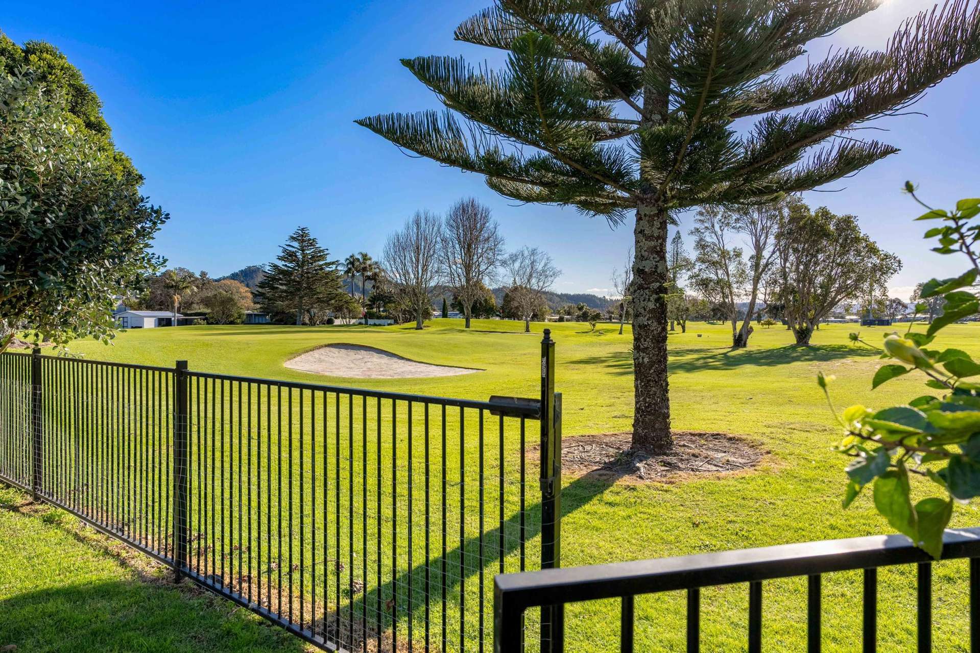 306 Williamson Road Whangamata_0