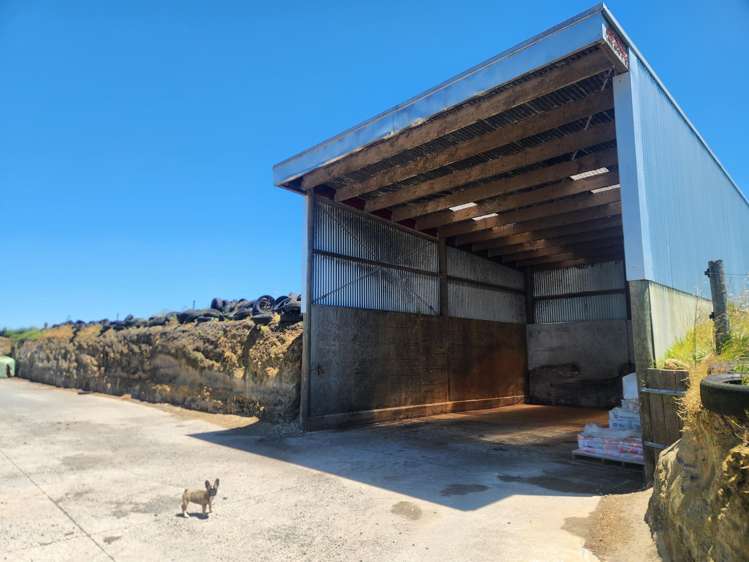 339A South Road Hawera_20