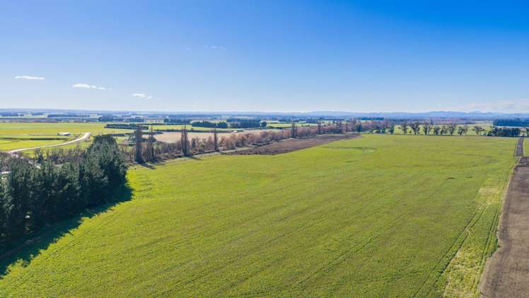 3962 State Highway 2 Takapau_12