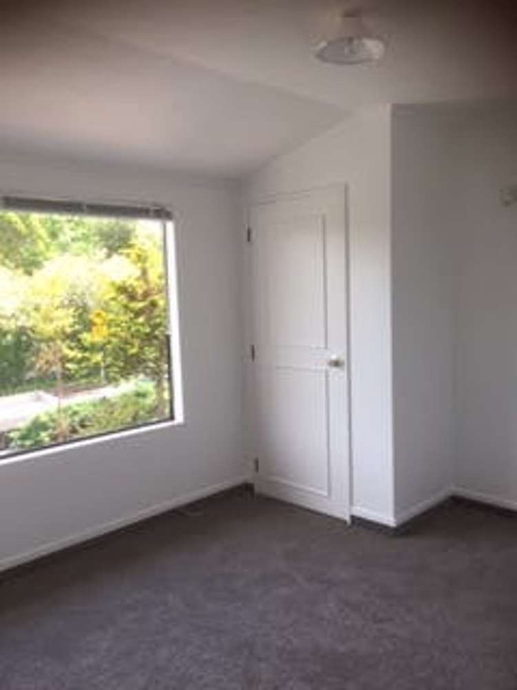 30 Examiner Street Nelson City_16