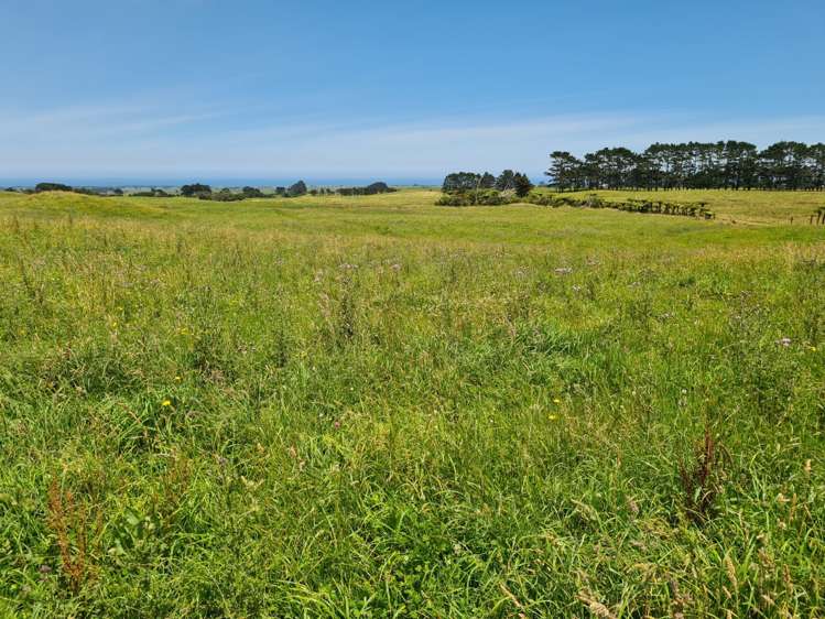 1528 Wiremu Road Rahotu_21