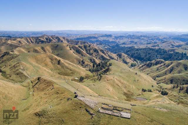 250 Makino Road Rangitikei Surrounds_1